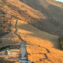 오천농장 | 등린이도 가능한 울산 간월재 최단 코스 사슴 농장 코스(간월재 주차장, 등산 시간, 난이도,주의사항)