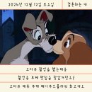 플라워무드 | W7 웨딩촬영용 부케 / 부산 메이무드 플라워 / 웨딩촬영 부케 후기 (고다큐 제휴)
