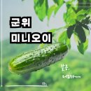 행소농장 네이버블로그