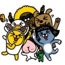 차차베리 이미지