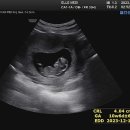 세화산부인과의원 이미지