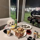 펜션바우 이미지