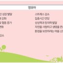 아이큰숲교육