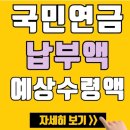 국민연금 납부내역조회[국민연금 납입내역조회,납부 횟수] 이미지