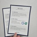 돌돌말린사랑 | 몽그베개 후기｜공대생이 만든 인체공학 베개, 한 달 사용 솔직 리뷰