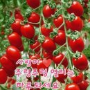 Plaisir d'amour - 안드레아 보/Schubert: Impromptu 3 in G/박인수 -기다리는마음 이미지