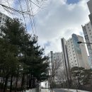 빌라마래 이미지