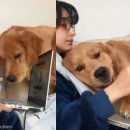 덩어리 이미지