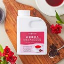 트로피칼 이미지