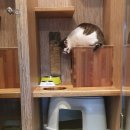 고은동물병원 이미지