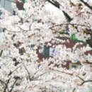 웰리스 휘트니스 이미지