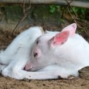 김성태 농장 이미지