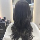 퇴계로(동) | 아르결 명동점 현서 디자이너 염색 후기