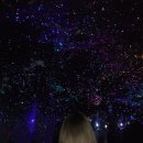 수봉공원 (망배단) | 미추홀구 수봉공원 수봉산별마루 별빛축제 #블챌 #오늘일기