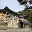 경주옥수수떡볶이 이미지