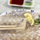 삼척 회포장 맛집! 중앙시장 ‘대왕횟집’ 솔직후기