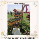 도시공원 | 2026 부산도시농업박람회 후기 대저생태공원 유채꽃 + 주차 꿀팁 + 아이체험 정리