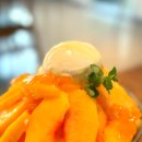 감천1동-10 | 감천문화마을카페 빙수맛집 카페버드