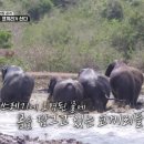 카페옆집 이미지