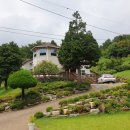 벧엘꽃 이미지