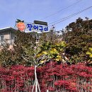 장어 1kg에 5만원?! 경남 사천 실안 진짜 가성비 장어맛집, 유자집 장어구이