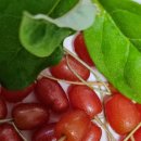 맑은물펜션민박 이미지