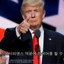사피엔스위