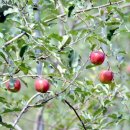 정고개농장 이미지