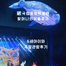 씨씨상점 | 국립중앙박물관 어린이뮤지컬 할머니의 여름휴가 후기 6세 아이도 푹 빠진 가족뮤지컬 추천