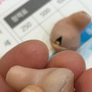 굿모닝보청기 평택서정센터 이미지