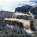 see more sea A 이미지