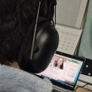 스카이벨 5개월 후기~화상 영어회화 추천