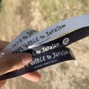 P3펌프장 | [일상/정보] 보야지 투 자라섬(VOYAGE to Jarasum)후기 (+준비물/꿀팁/셔틀버스/주차장 정보 등)