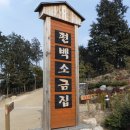 2023년 12월 21일 제900차 정기산행안내 우드랜드&억불산(518m)송년산행(장흥) 이미지