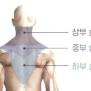 나의근육사용설명서 이미지