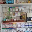 준동물병원 이미지