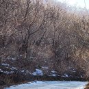 노고단-12 이미지