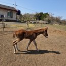 연학목장 이미지