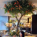 쁘니푸드 이미지