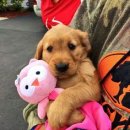 바디채널 삼계점 이미지