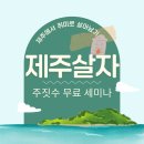 제주 주짓수 주짓서프 아카데미 이미지