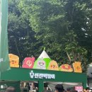 [대구/여행] 대구도 재미있는 도시입니당3 (대구 떡볶이 페스티벌, DGB대구은행파크)