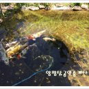 탐나는부동산공인중개사사무소 이미지