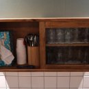 일산호수공원 가로수길 이미지