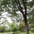 허니통신