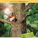 우드잡 (Wood Job!, 2014) 정보 출연진 줄거리, 결말,추천 이유,감상평 요약 스포 후기→산림 코미디 명작