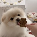 댕이밥상 이미지