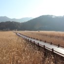 순천만생태펜션 이미지