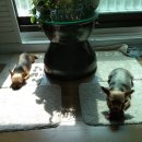 까미농장 이미지