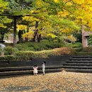 아이코리아새세대유치원 이미지